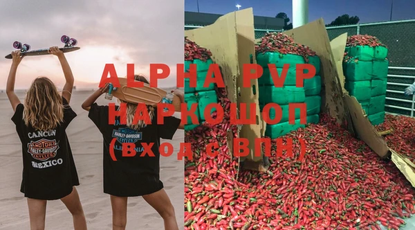 прущие грибы Гусь-Хрустальный