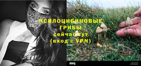прущие грибы Гусь-Хрустальный