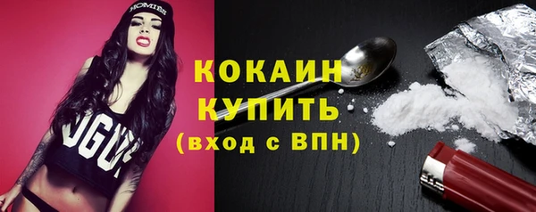 прущие грибы Гусь-Хрустальный