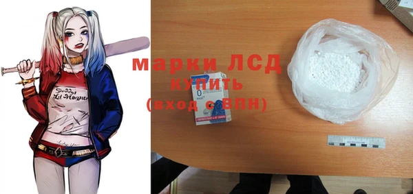 прущие грибы Гусь-Хрустальный