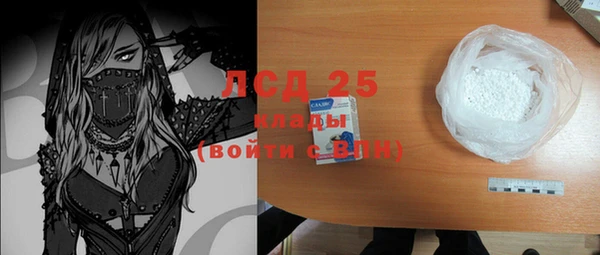 тгк Гусев