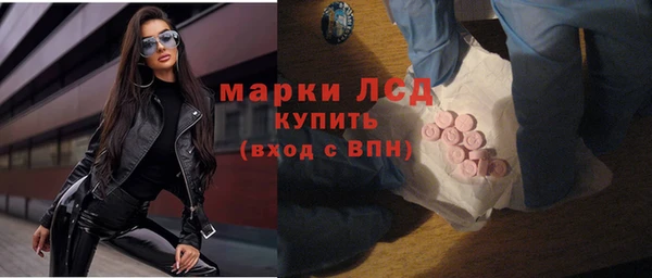 тгк Гусев