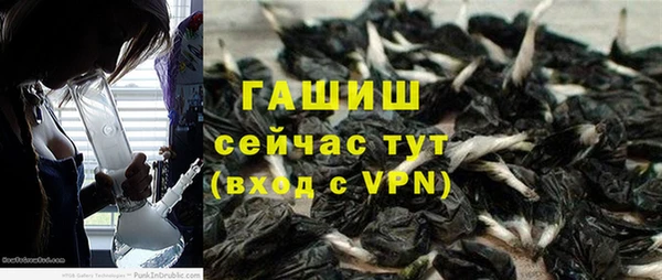 тгк Гусев