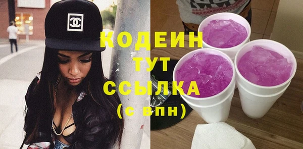 тгк Гусев