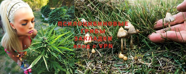 каннабис Гусиноозёрск