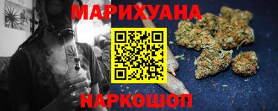 стаф Дубна