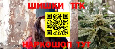 стаф Дубна