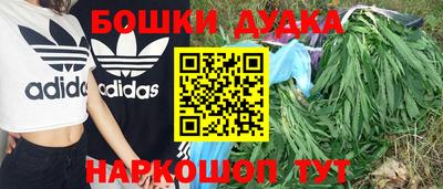 стаф Дубна