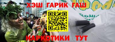стаф Дубна