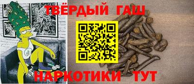 стаф Дубна