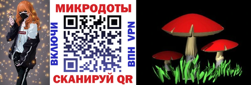 Псилоцибиновые грибы мухоморы  blacksprut   Сальск  дарк нет какой сайт  наркота 