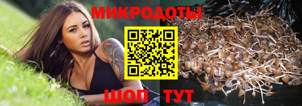 Псилоцибиновые грибы Magic Shrooms  Вход с VPN  Псилоцибиновые грибы Psilocybine cubensis  Сальск 