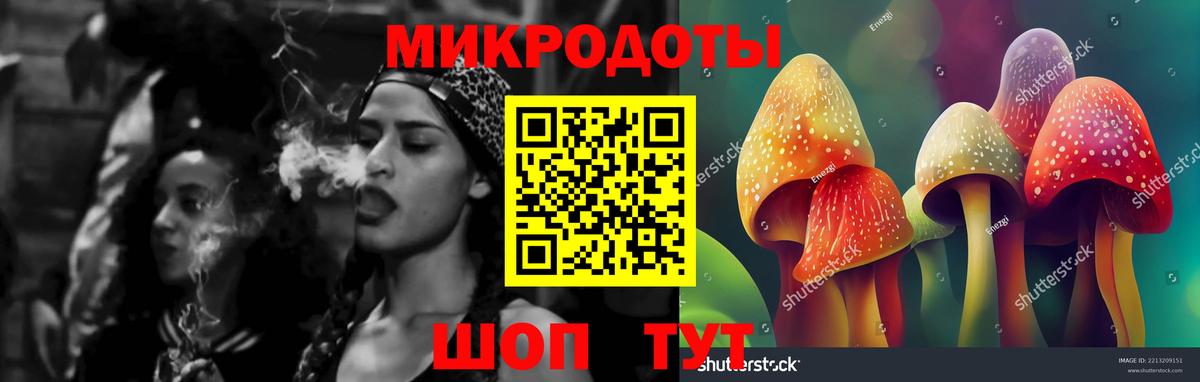 Галлюциногенные грибы мицелий Сальск