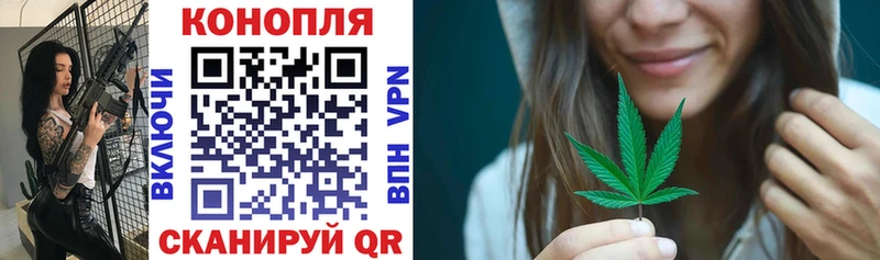 Бошки Шишки Bruce Banner  где можно купить наркотик  Сальск 